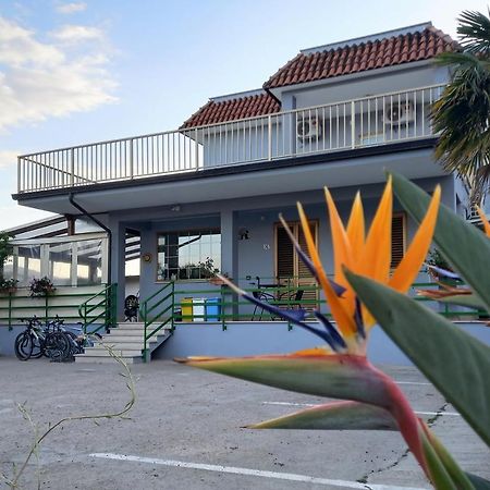 Affittacamere Il Tulipano Beach Φόρμια Εξωτερικό φωτογραφία